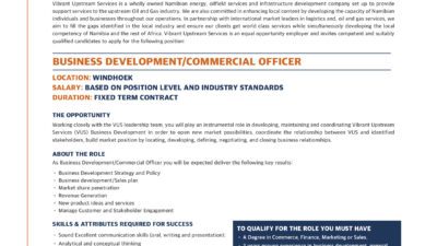 Vibrant Business Dev Vacancy Advert 19x4 High Resolution